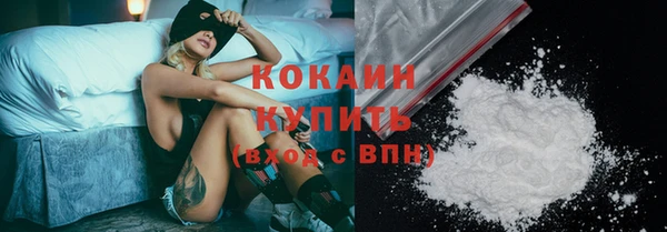 кокс Алексин