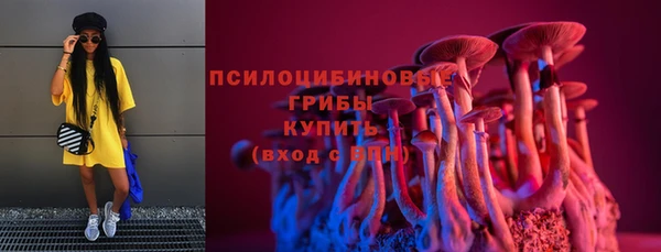 дмт Аркадак