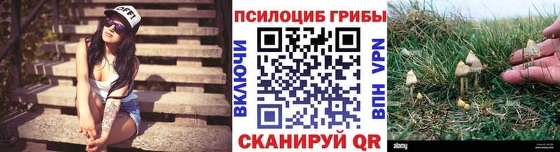 Галлюциногенные грибы MAGIC MUSHROOMS  Красногорск 