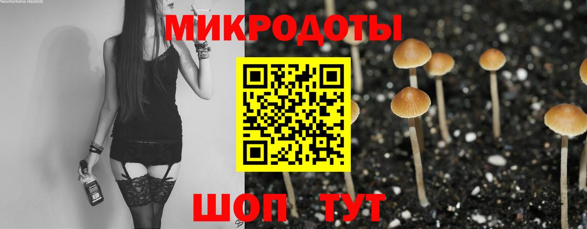 купить  сайты  Вход с VPN  Псилоцибиновые грибы Magic Shrooms  Красногорск  Псилоцибиновые грибы Psilocybe 